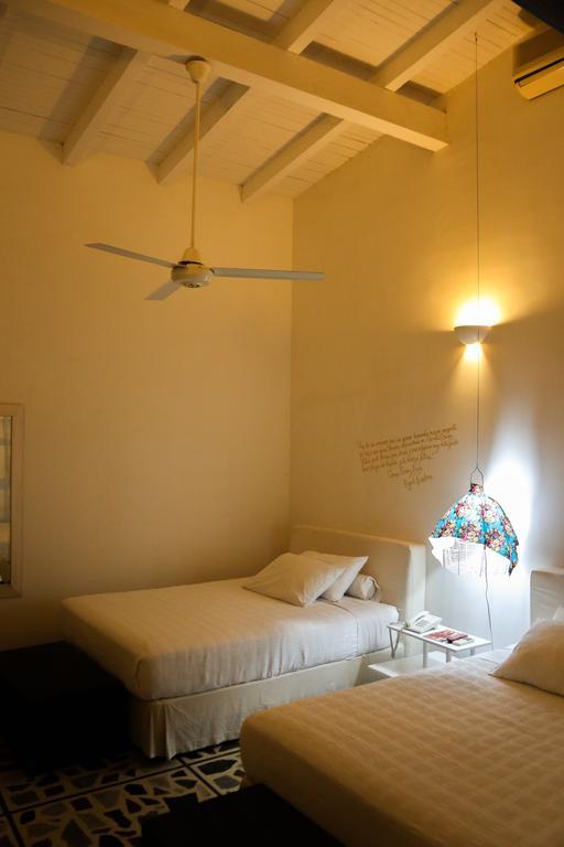 Hotel Boutique Casa Rosalia バジェドゥパル エクステリア 写真